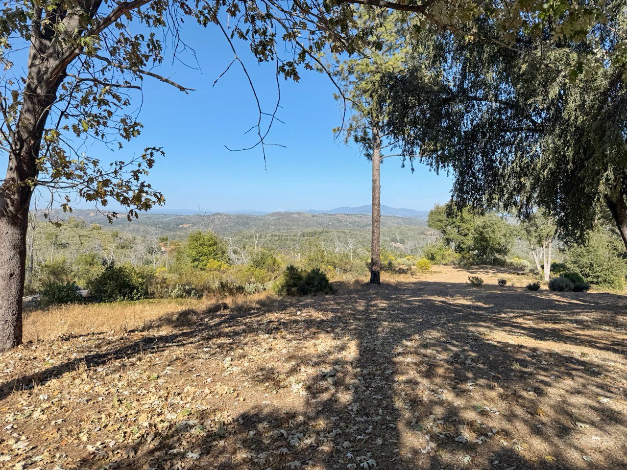 Private 68-acre property with expansive views thumbnail 6